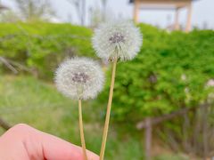 -青岛海泉湾度假区温泉
