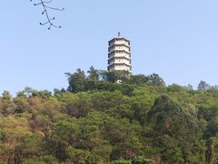 -深圳国际园林花卉博览园