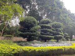 -深圳国际园林花卉博览园