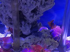 -太平洋海底世界