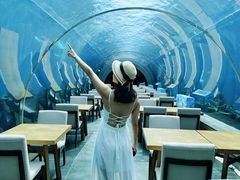 -涛·海底餐厅·美人鱼·自助餐·海底隧道(三亚海棠湾洲际度假酒店)
