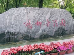 -杨柳青庄园