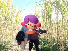 -狼牙山风景区