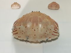 -中国湿地博物馆