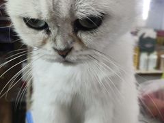 -钱库里海鲜自助(唐山街店)