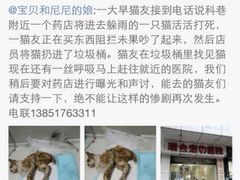 盛京一禾-盛京一禾