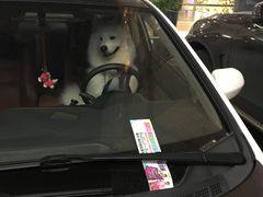 -品腐记·豆腐王朝(老门东总店)