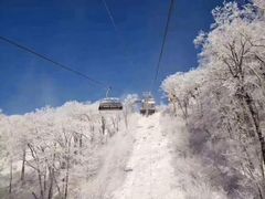 -长白山凯悦酒店·市集咖啡厅