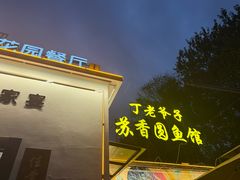 -丁老爷子苏香圆
