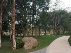 -昆山城市生态森林公园