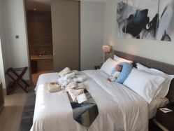 -禧月荟S月子中心(侨城店)