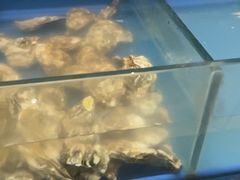 -火舞泰·泰式海鲜火锅餐厅(世纪城店)