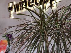-wineapp葡萄酒餐吧(外滩金融中心店)