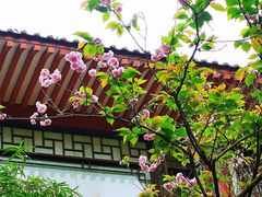 -重庆彩云湖湿地公园
