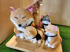 -大江户·温泉洗浴(浑南店)