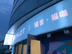门面-飞行喵MR PILOT|猫舍·猫咖(静安大融城店)