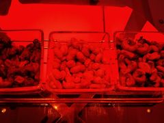 -云·酷Atmosphere(国贸大酒店)