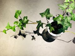 -UNI UNI(环亚凯瑟琳店)