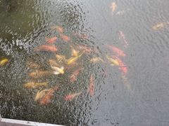 -八卦田遗址公园