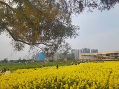 -三圣花乡旅游区