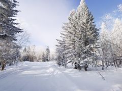 -长白山万达国际滑雪场