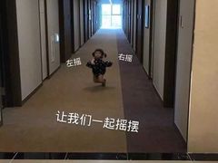 -巢湖名吃·徽府农家菜(半汤店)