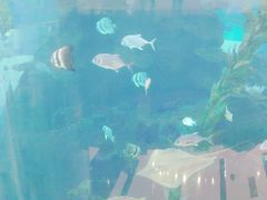 -鸿通城购物中心