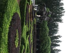 iphone_upload_pic-北京拉斐特城堡酒店