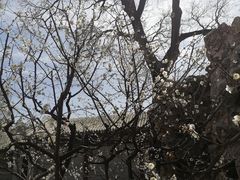-颐和园