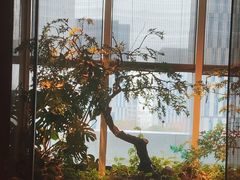-海立阁海鲜江浙菜(漕河泾印象城店)