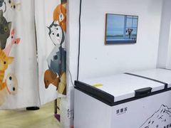 -蜜肆动物奶油蛋糕·个性定制·下午茶甜品