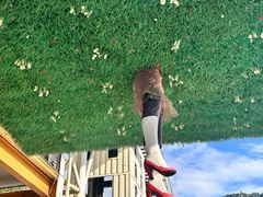 -美心红酒小镇游乐园