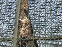 -宿豫区运河湾森林动物园