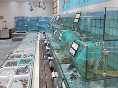 -海岛渔村大酒店(云霄路店)