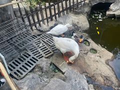 -日出青木·杭帮菜名店