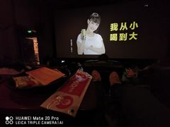 VIP厅-新影联·华谊兄弟影院(望京店)