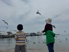 -海驴岛(荣成市)