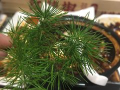 -红辣椒陶氏丝娃娃(逸天城店)