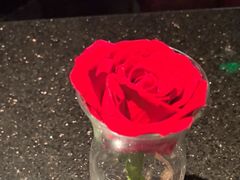 -华豫川酒家(双子塔店)