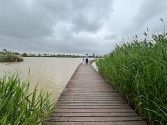 -盐城丹顶鹤湿地生态旅游区