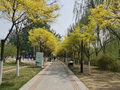 -南翠屏公园
