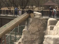 -石家庄市动物园