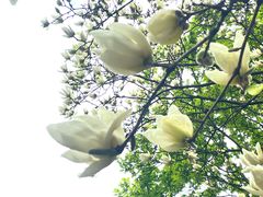 -杭州湖滨银泰in77