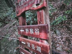 -罗田天堂寨风景区