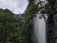 -青峰峡国家森林公园