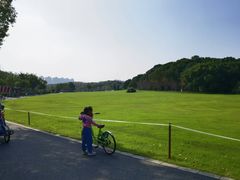 -昆山城市生态森林公园