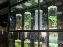 -广东中医药博物馆