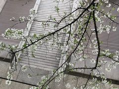 -东京国立博物馆