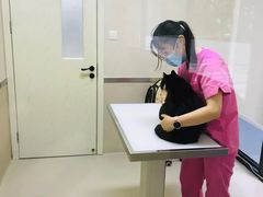 -爱妮康宠物医院·干细胞免疫细胞·肿瘤·心脏(张江店)