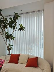 -WENDY·温迪皮肤管理